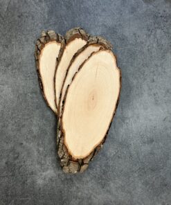 Houten boomstam schijf ovaal