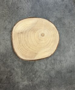 Houten boomstam schijf rond